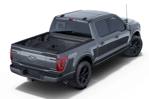 2025 Ford F-150 Platinum photo 3
