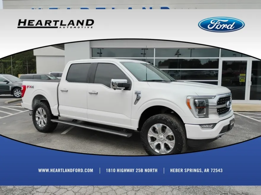 2022 Ford F-150 Platinum photo 1
