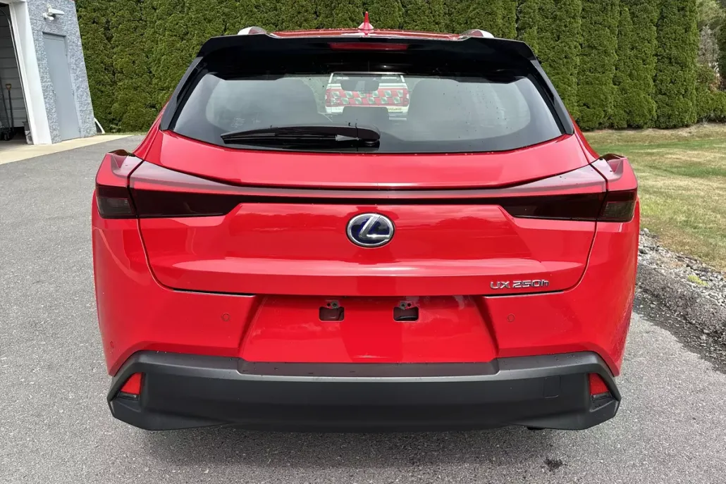 2020 Lexus UX 250h Premium photo 1