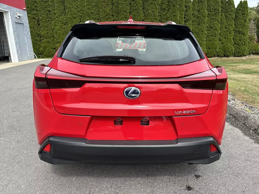 2020 Lexus UX 250h Premium photo 1