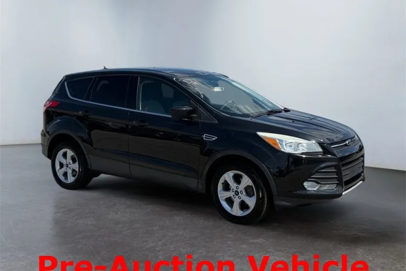 2015 Ford Escape SE photo 1