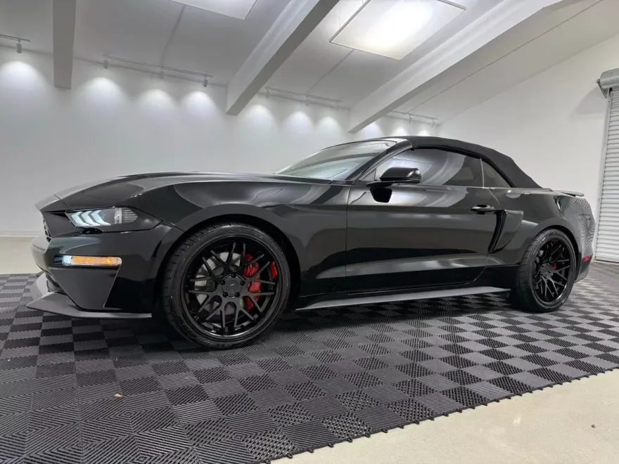 2019 Ford Mustang GT Premium Convertible photo 1