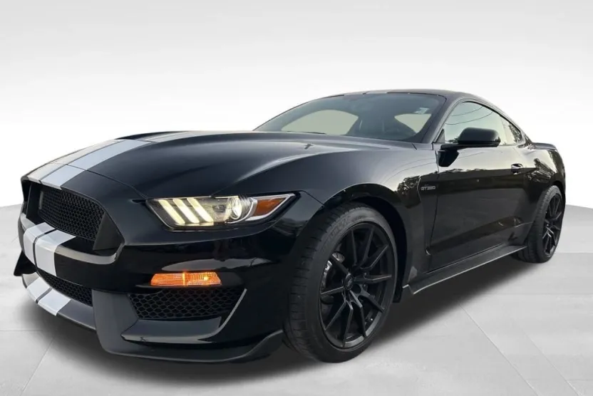 2017 Ford Mustang Shelby photo 1