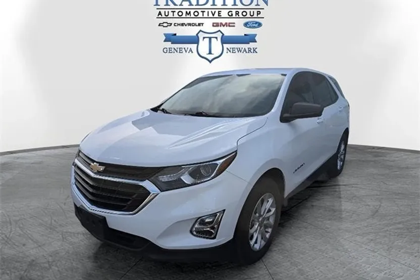 2020 Chevrolet Equinox LS photo 1
