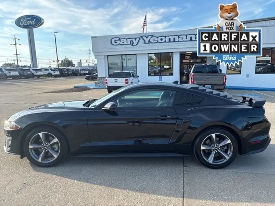 2021 Ford Mustang EcoBoost photo 2