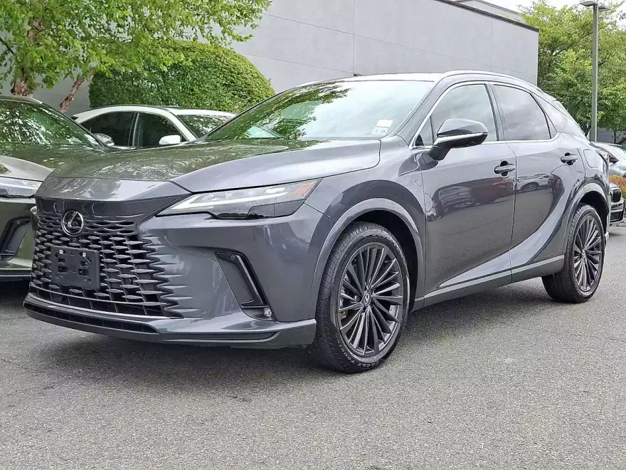 2025 Lexus RX Premium photo 1