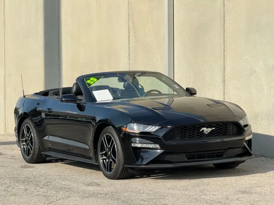 2023 Ford Mustang EcoBoost Premium photo 1