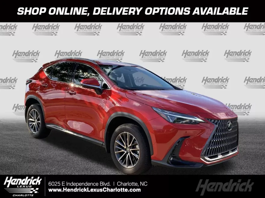 2025 Lexus NX 250 photo 1