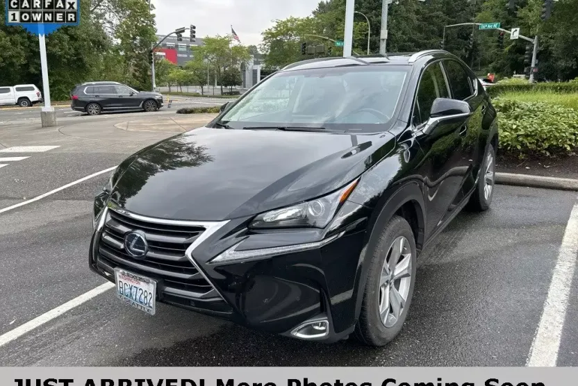 2017 Lexus NX 300h Premium photo 1