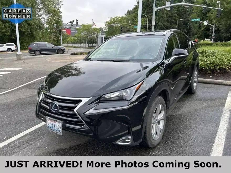 2017 Lexus NX 300h Premium photo 1