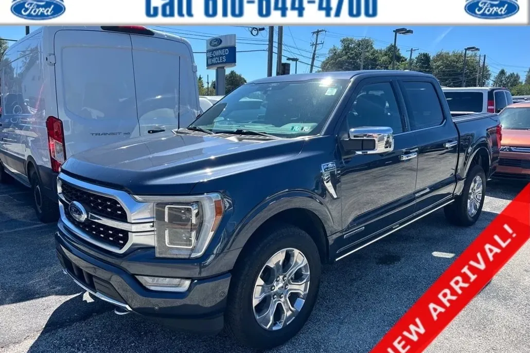 2022 Ford F-150 Platinum photo 1