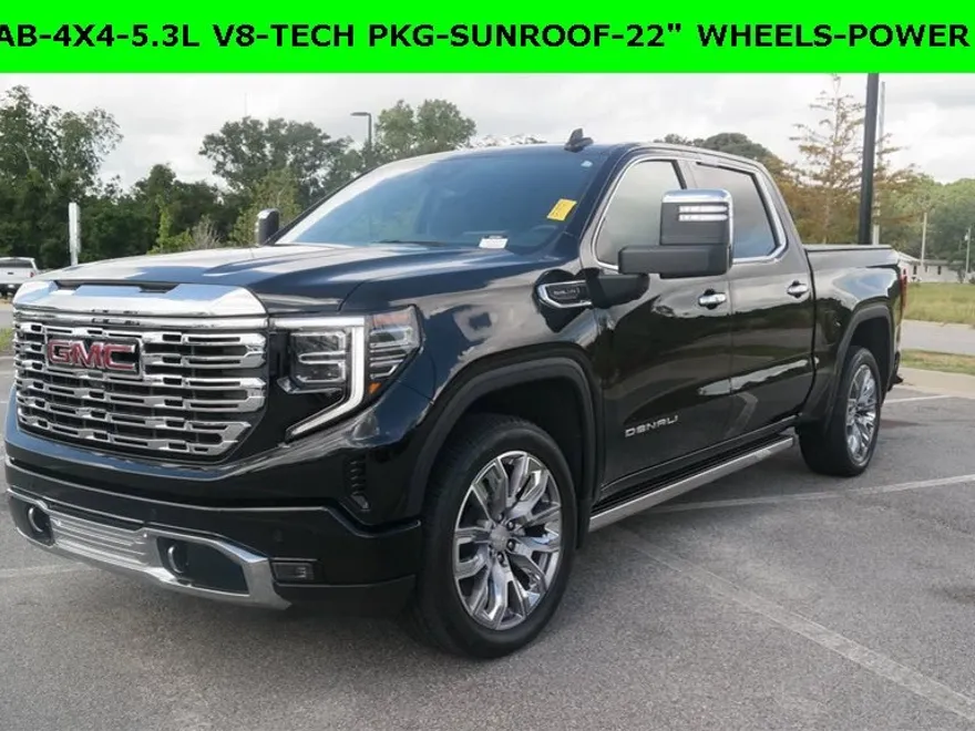 2024 Gmc Sierra 1500 Denali photo 1