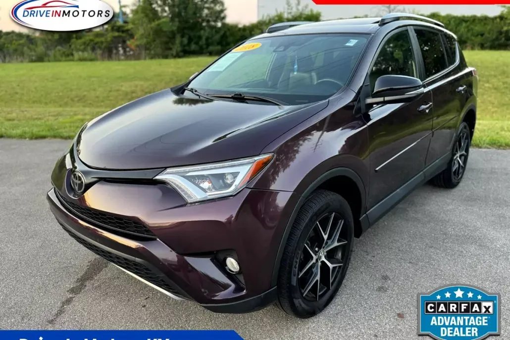 2018 Toyota RAV4 SE photo 1