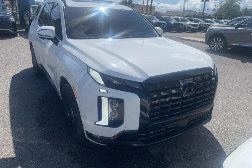2024 Hyundai Palisade Calligraphy photo 1