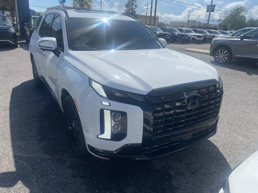 2024 Hyundai Palisade Calligraphy photo 1