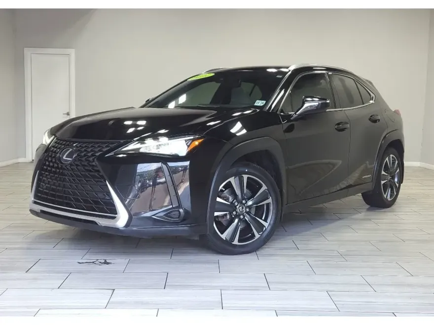 2021 Lexus UX 250h photo 1