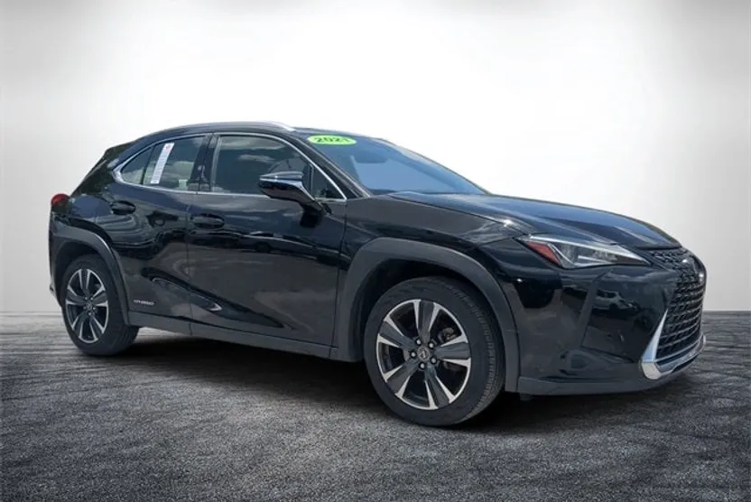 2021 Lexus UX 250h photo 1