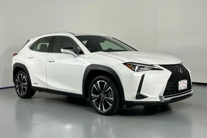 2021 Lexus UX 250h photo 1