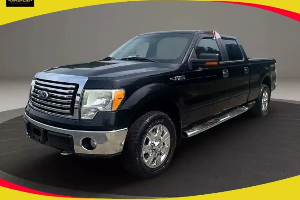 2010 Ford F-150 photo 1