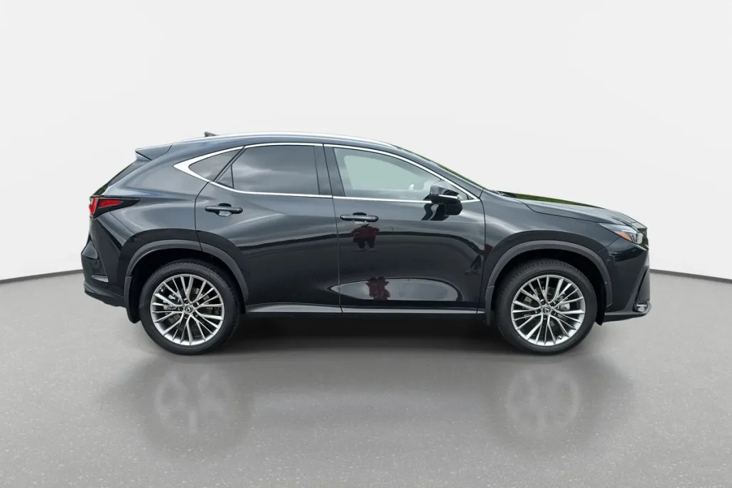 2023 Lexus NX 350h Premium photo 1