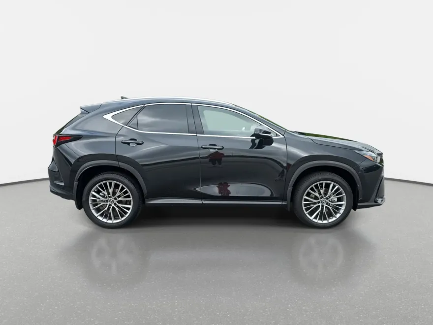 2023 Lexus NX 350h Premium photo 1