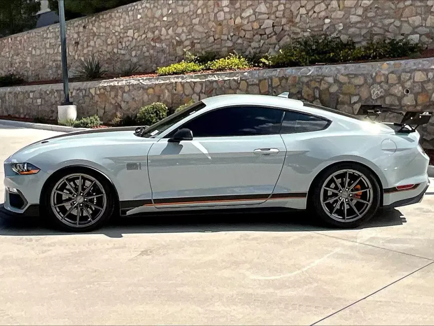 2021 Ford Mustang Mach 1 photo 1