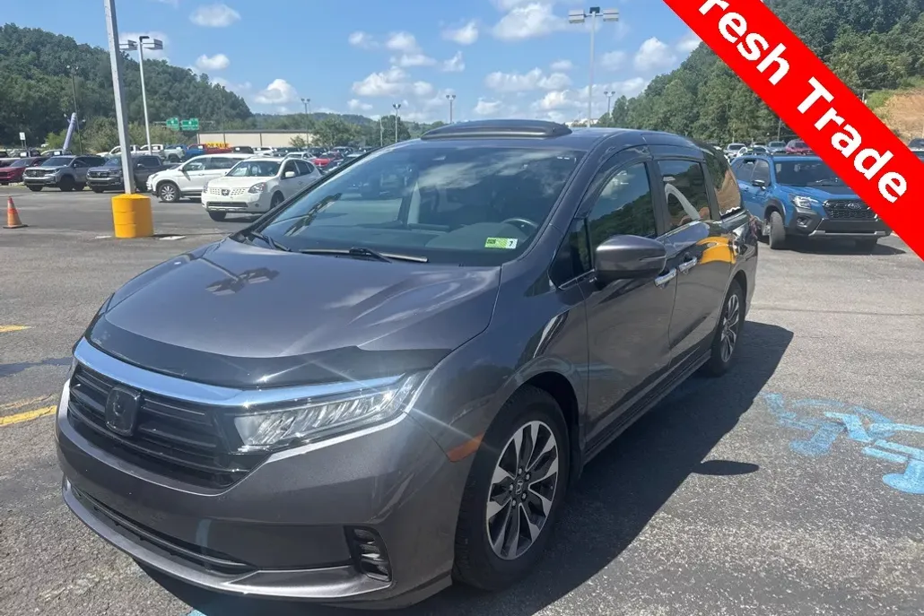2024 Honda Odyssey EX-L photo 1