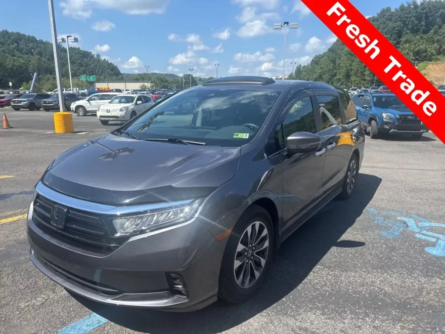 2024 Honda Odyssey EX-L photo 1