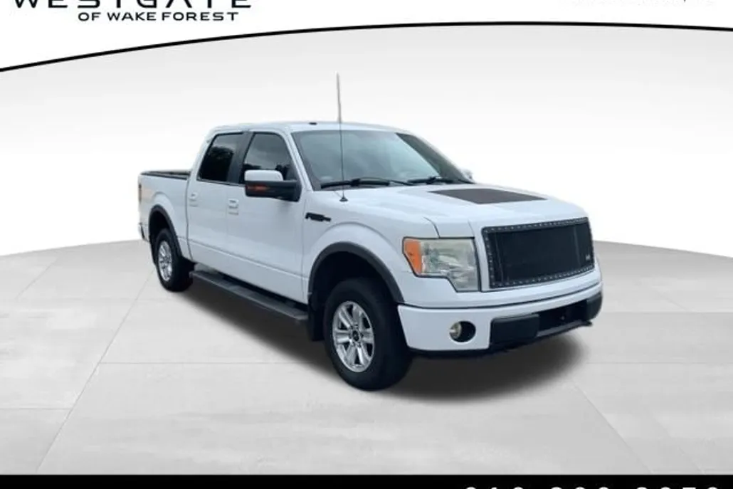 2010 Ford F-150 photo 1