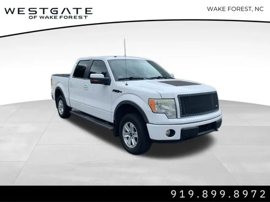 2010 Ford F-150 photo 1
