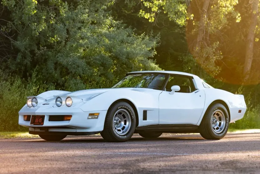 1981 Chevrolet Corvette Base photo 1