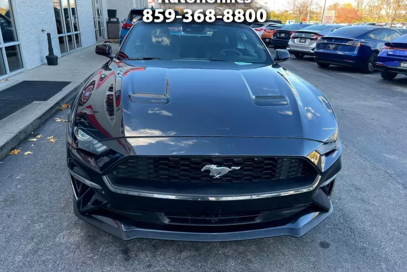 2023 Ford Mustang EcoBoost Convertible photo 1