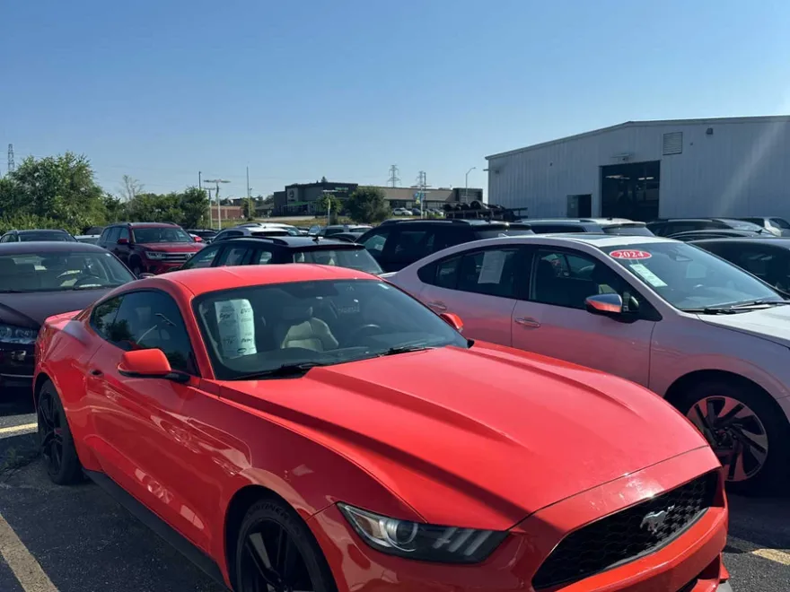 2015 Ford Mustang EcoBoost Premium photo 1