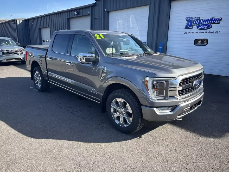 2021 Ford F-150 Platinum photo 1