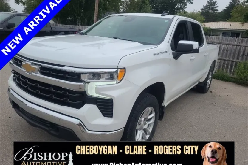 2022 Chevrolet Silverado 1500 LT photo 1