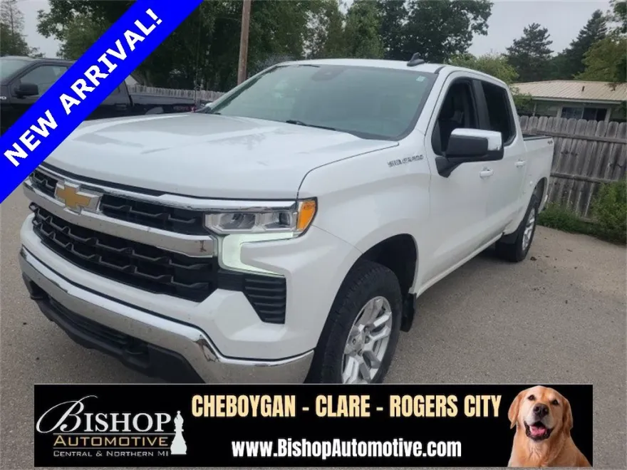 2022 Chevrolet Silverado 1500 LT photo 1