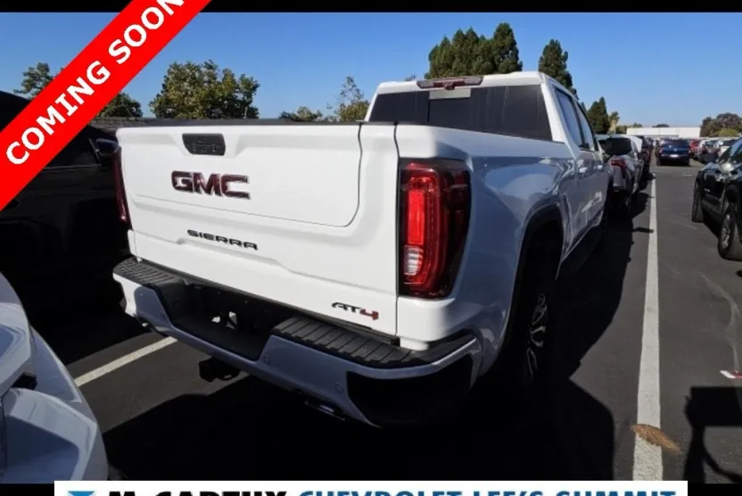 2021 Gmc Sierra 1500 AT4 photo 1