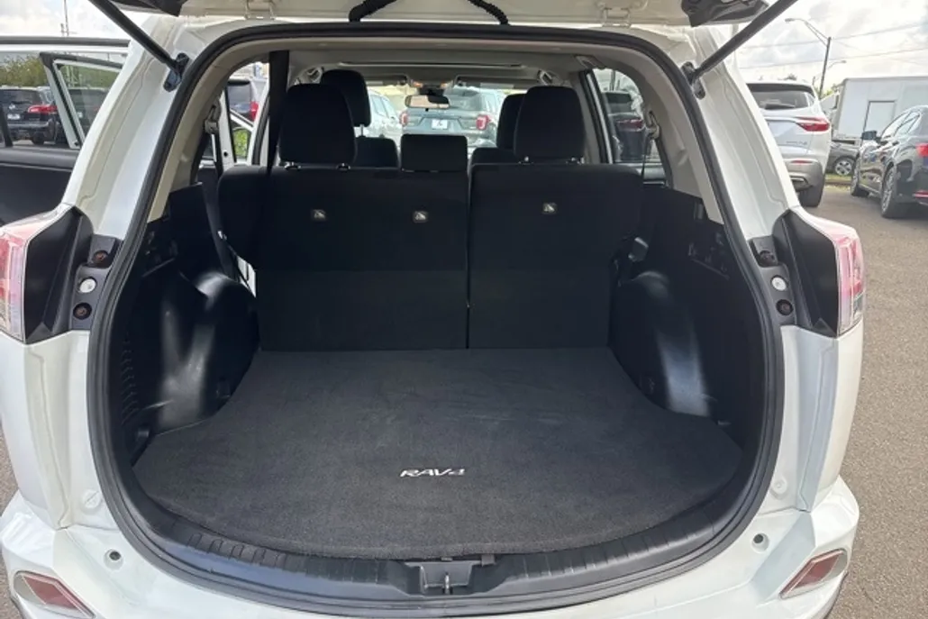 2017 Toyota RAV4 XLE photo 1
