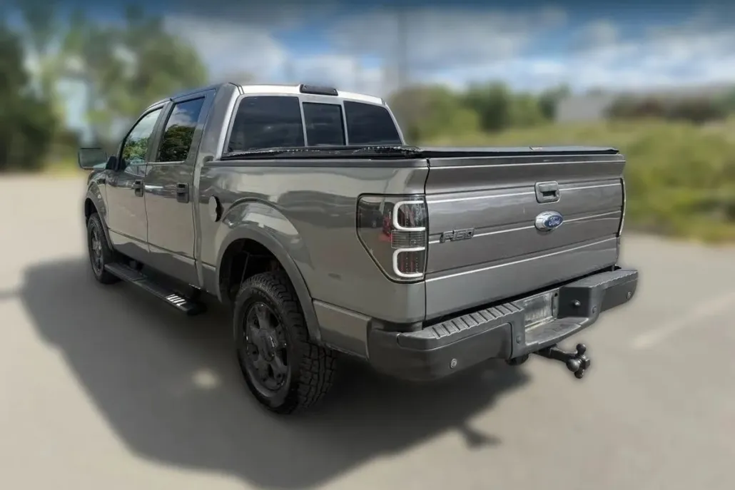 2010 Ford F-150 photo 1