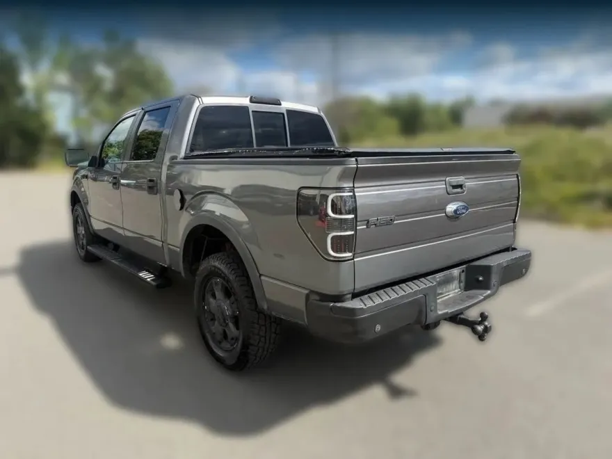 2010 Ford F-150 photo 1