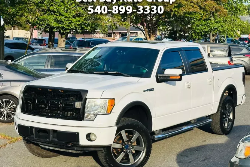 2010 Ford F-150 FX4 photo 1