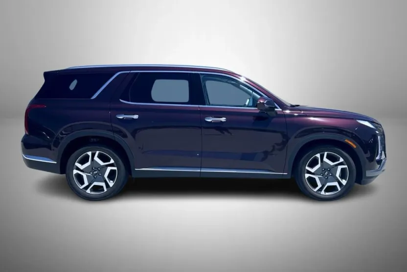 2025 Hyundai Palisade Limited photo 1