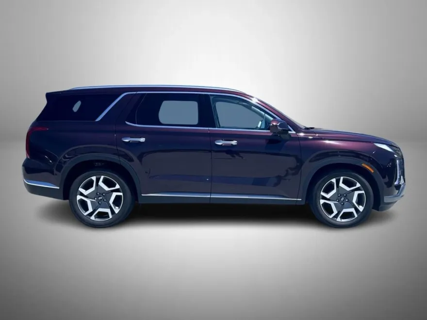 2025 Hyundai Palisade Limited photo 1