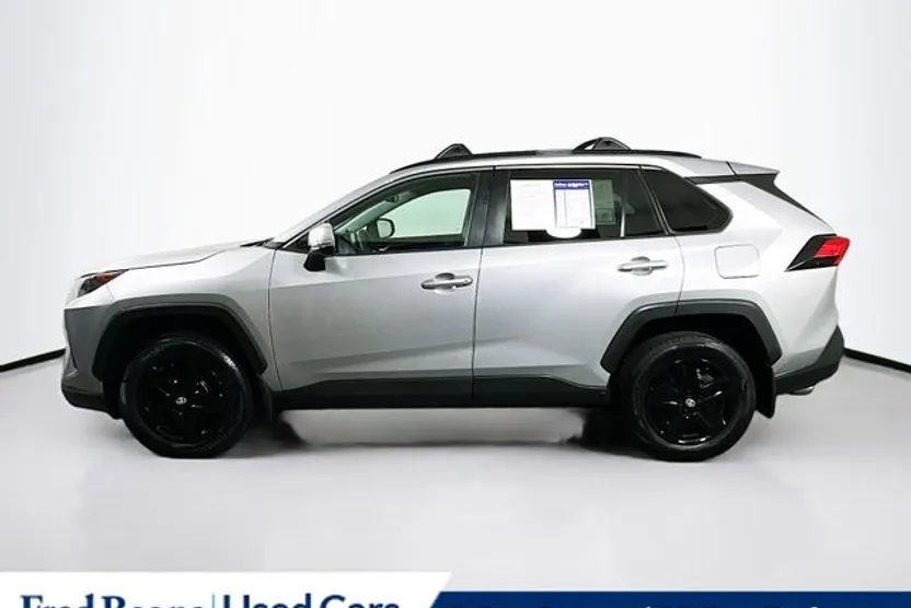 2019 Toyota RAV4 LE photo 1