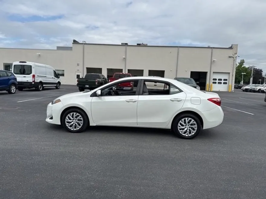 2019 Toyota Corolla LE photo 1