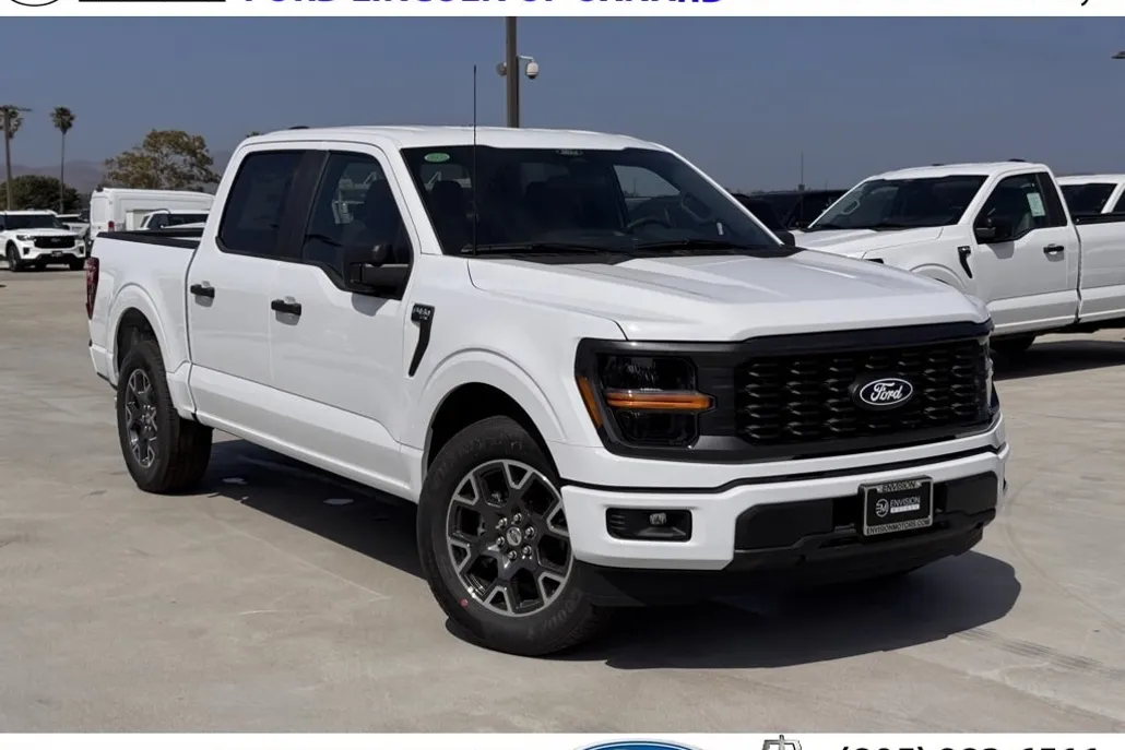 2025 Ford F-150 STX photo 1