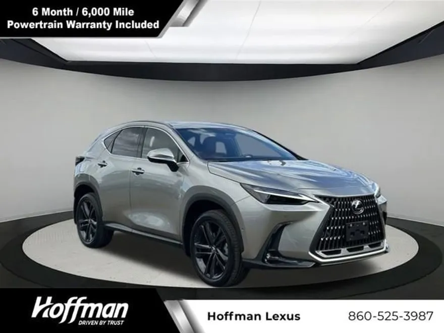2024 Lexus NX 450h+ Luxury photo 1