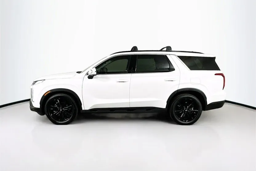 2025 Hyundai Palisade XRT photo 1