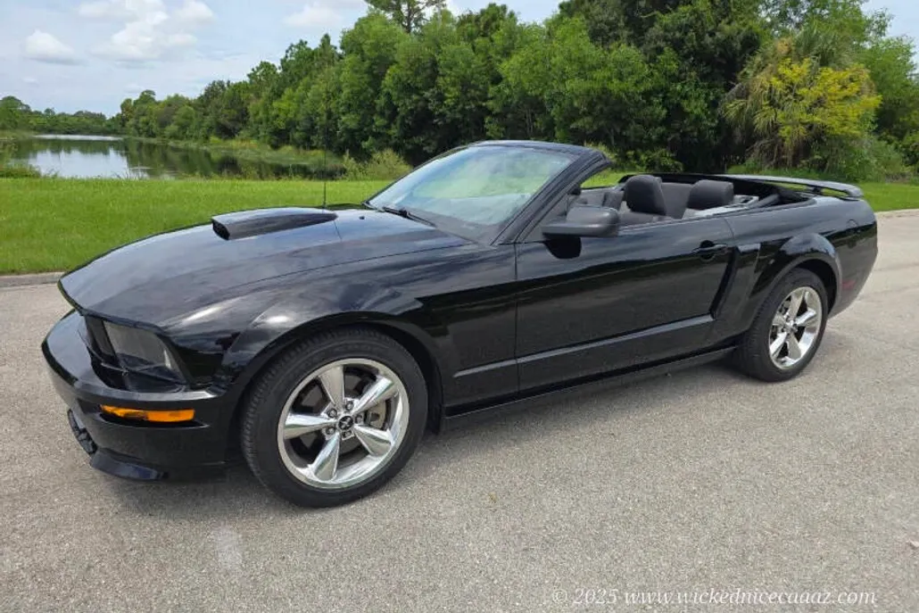 2009 Ford Mustang GT Premium photo 1