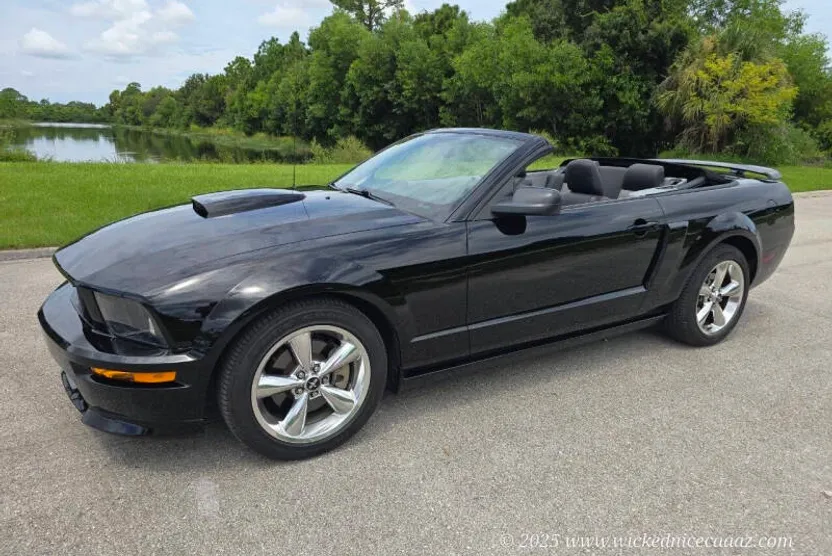 2009 Ford Mustang GT Premium photo 1